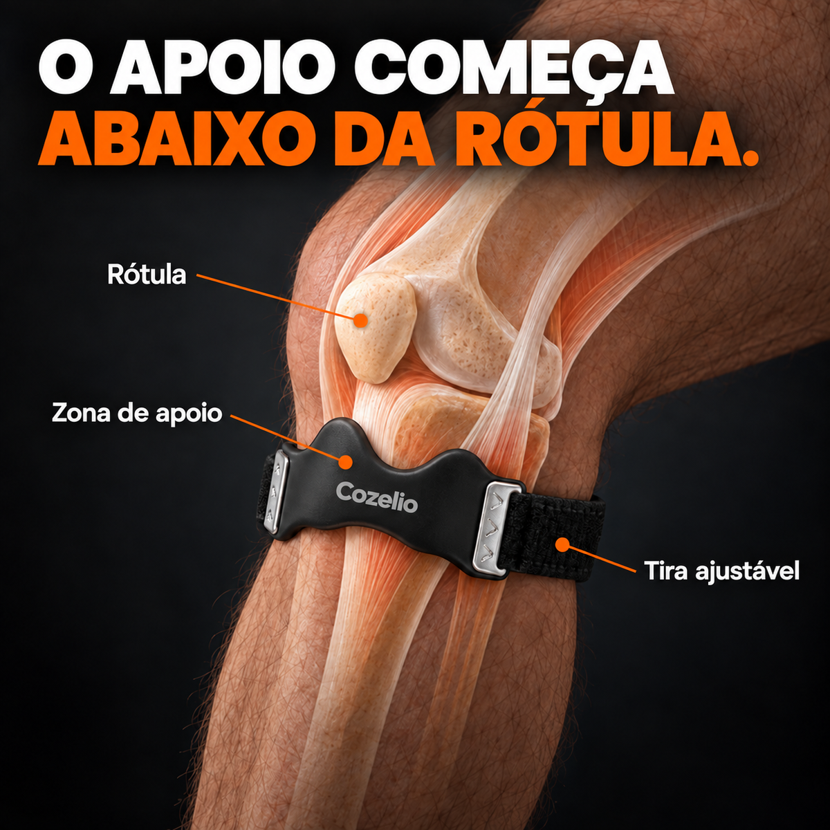Cinta rotuliana Cozelio — zona apoio